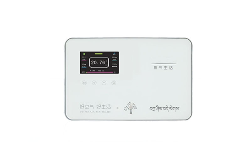 乐山弥散供氧系统终端
